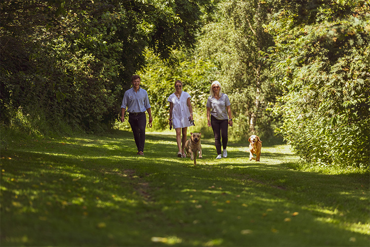 Family