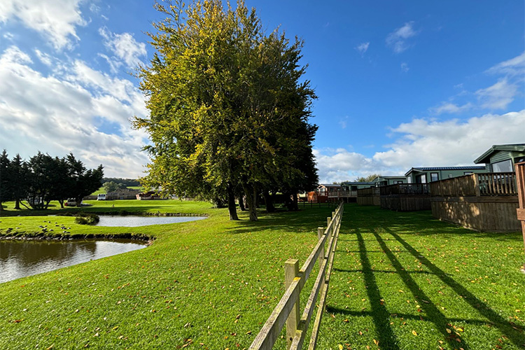 Landscape image of the park