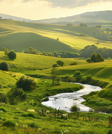 Yorkshire Dales