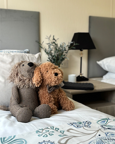 Two teddies on bed