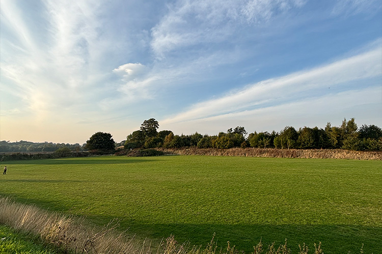 Seasonal Pitches